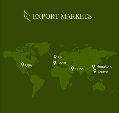 Markets
