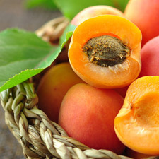 APRICOT KERNAL