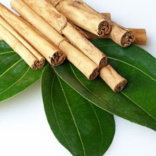 CINNAMON LEAF