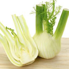 FENNEL