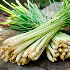 LEMON GRASS