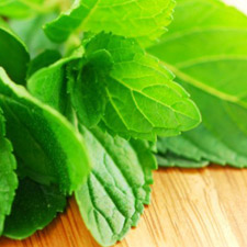 PEPPIERMINT