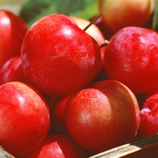 RED APPLE