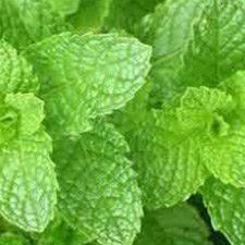 SPERMINT