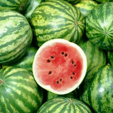 WATER MELON